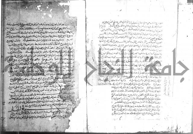التلخيص