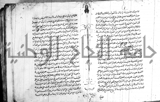 العقود الجوهرية 