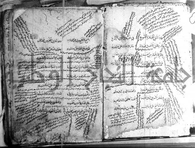 فقة حنفي 