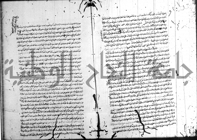سيبويه 