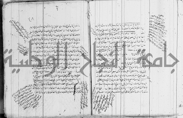 نحو - شرح الكافية