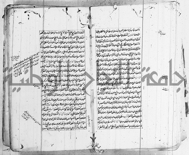 الاشباه والنظائر