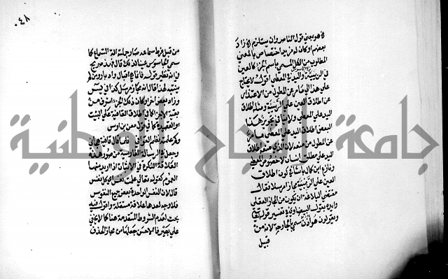 الرسالة البيانية