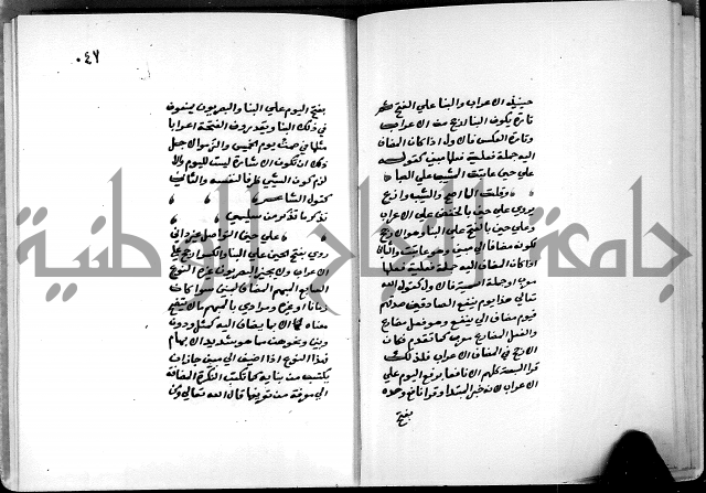 شرح شذور الذهب في معرفة كلام العرب 