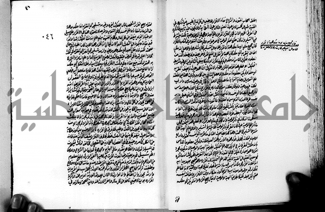 الجواهر الدورية في تنقيح الفتاوى الحامدية ج2 