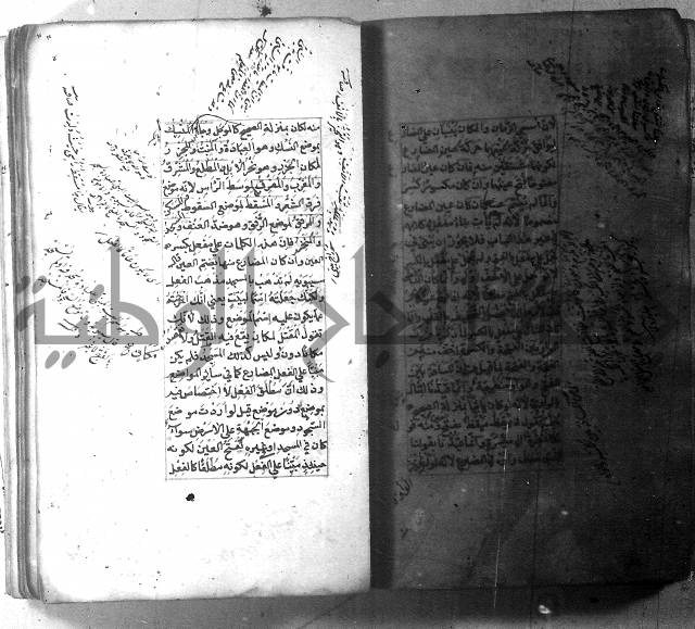 شرح الشافية 