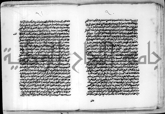 حاشية الشبراملي على شرح الورقات لابن قاسم العبادي