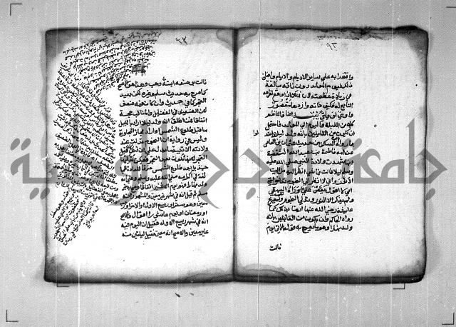 شرح الهمزية  