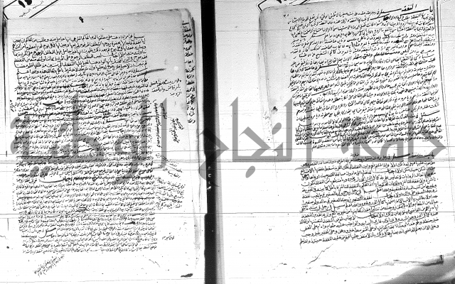 الفتاوى الحسينية