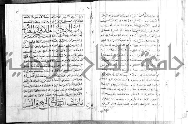 نظم كنز الدقائق