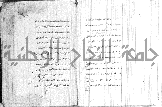 ضوء في علم النحو