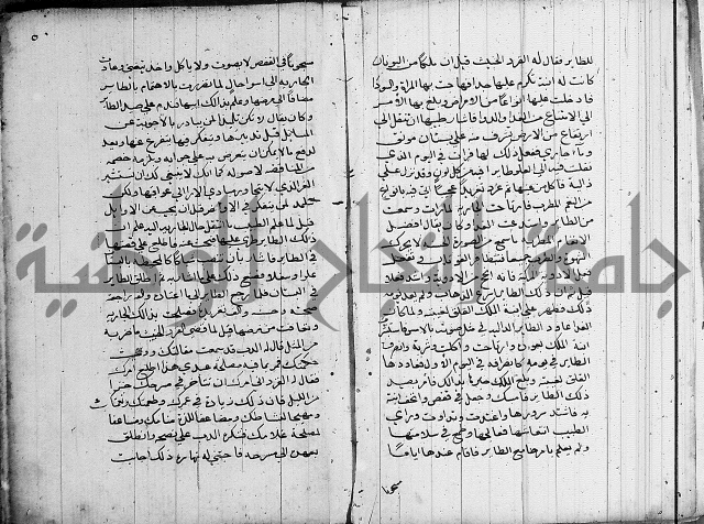 سلوان المطاع في عدوان الأتباع 