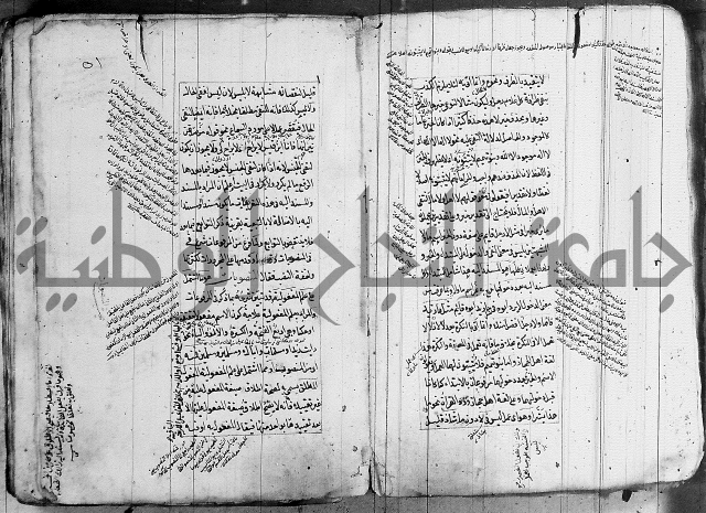 فوائد على الكافية 