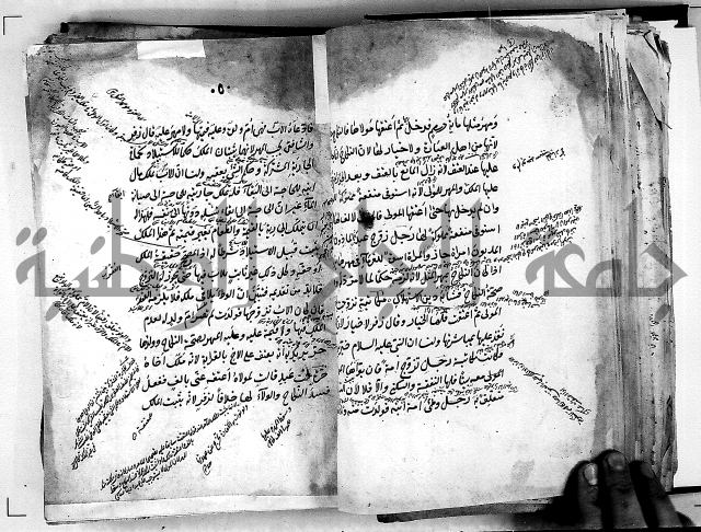 مذهب ابي حنيفة في الفقة