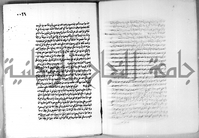 حاشية الجمل على الجلالين 