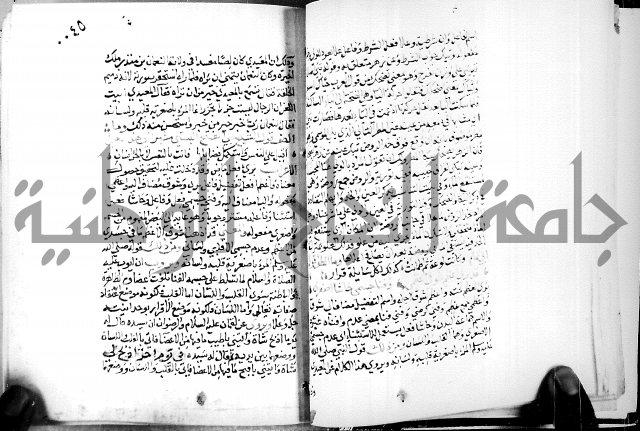 البحر الفائض في شرح ديوان ابن الفارض البوريني 