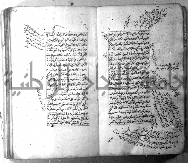 شرح الشافية 