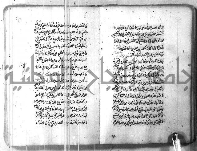 التفنن في الصرف