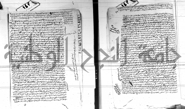 الفتاوى الحسينية