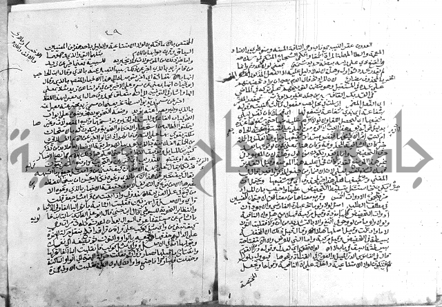 كتاب في اللغة العربية