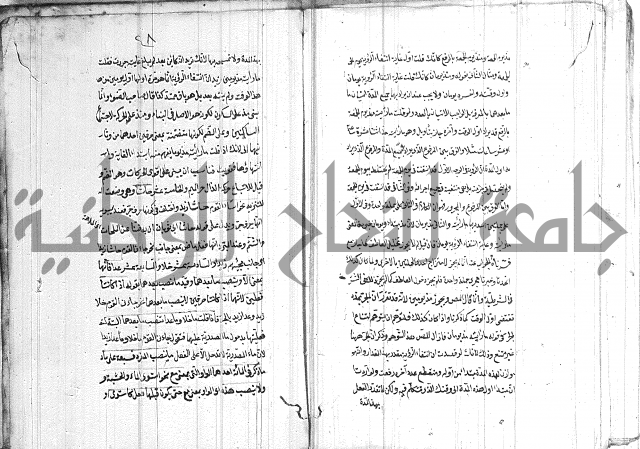 الانتاج المؤلف 