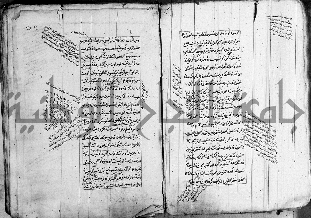 فوائد على الكافية 