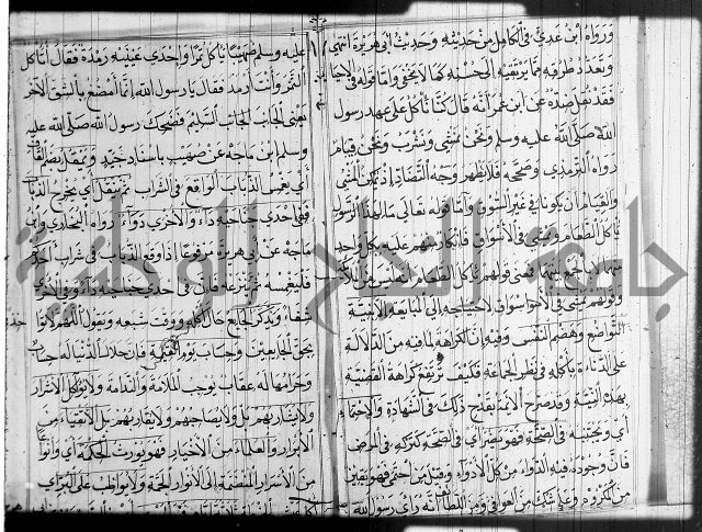 شرح عين العلم ج1