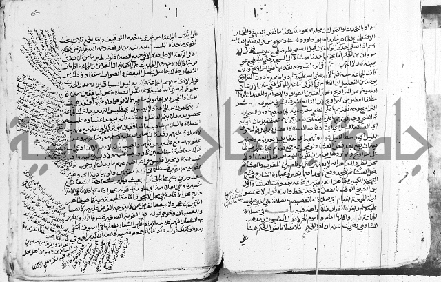 الزيادي على المنهج 