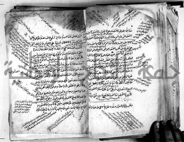 مذهب ابي حنيفة في الفقة