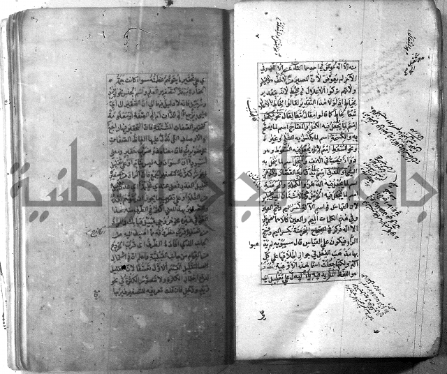 شرح الشافية 