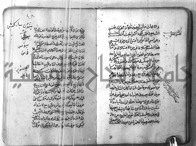 التفنن في الصرف