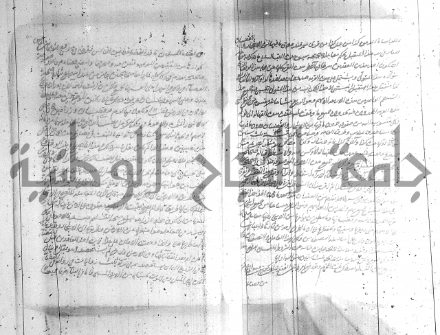 البسيط في الشروط