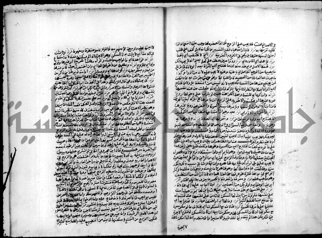 مجهول فقة 55