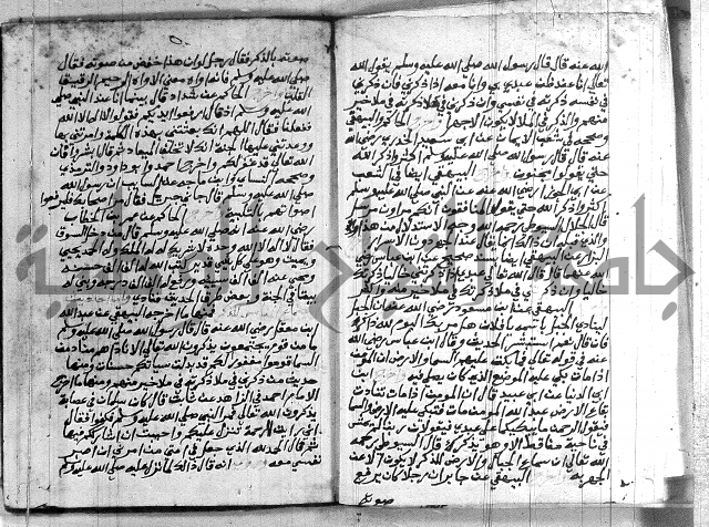الانوار الالهيه في شرح المقدمه السنوسيه 