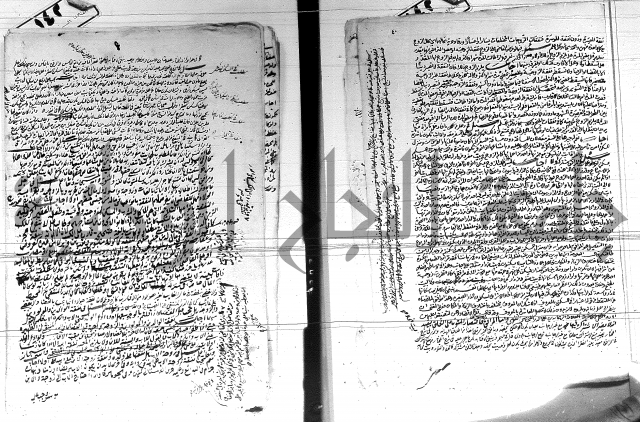 الفتاوى الحسينية