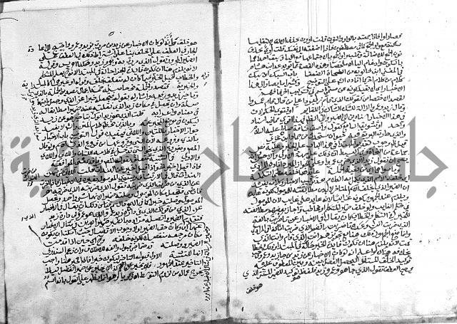 كتاب في اللغة العربية