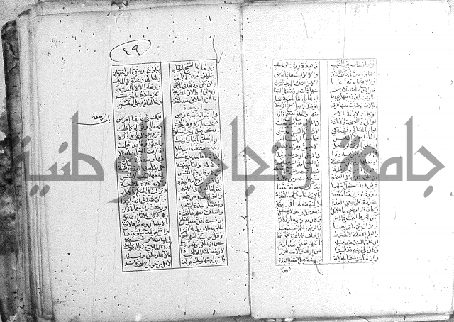 خلاصة التنوير 