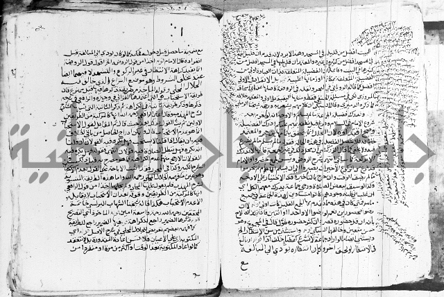 الزيادي على المنهج 