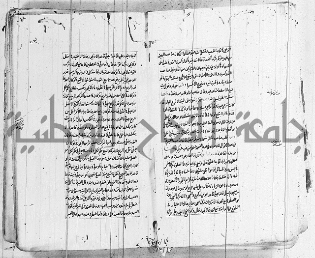 الاشباه والنظائر