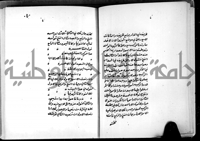 شرح شذور الذهب في معرفة كلام العرب 