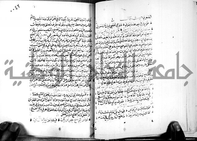 البحر الفائض في شرح ديوان ابن الفارض البوريني 