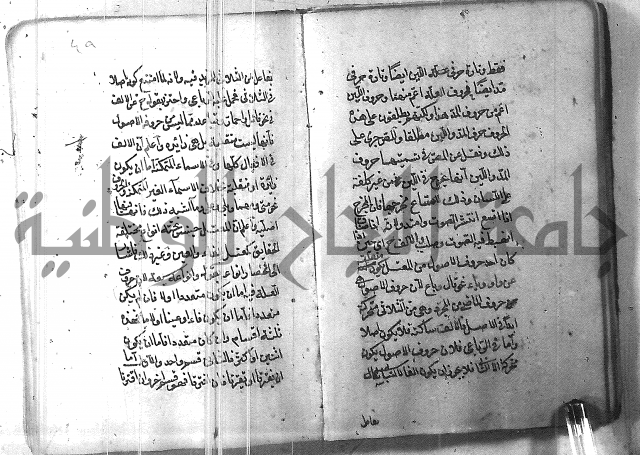 التفنن في الصرف