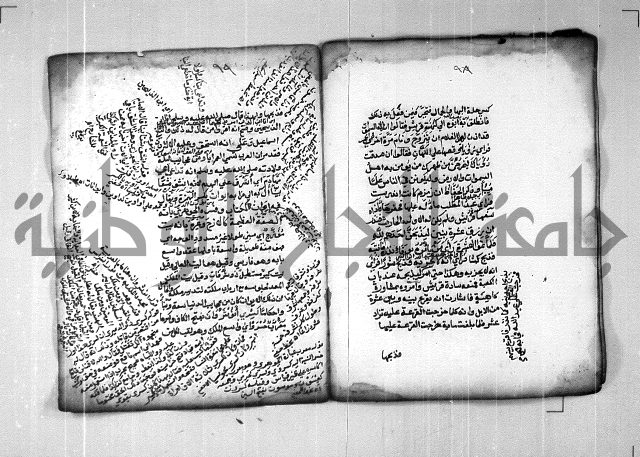 شرح الهمزية  