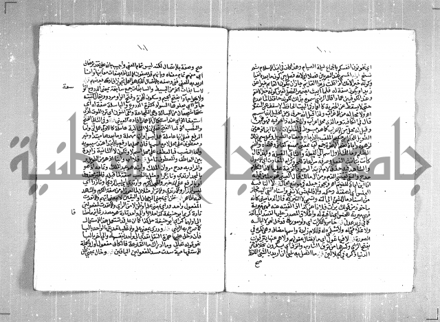 حاشية السجاعي على شرح قطر الندى وبل الصدى لابن هشام