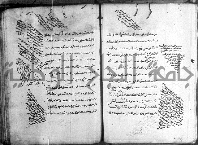 المواشح على الكافية