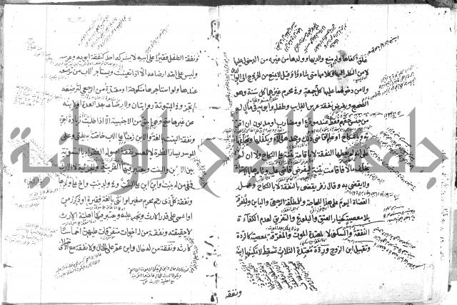 كتاب في الفقه