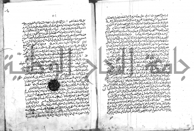 كتاب في اللغة العربية