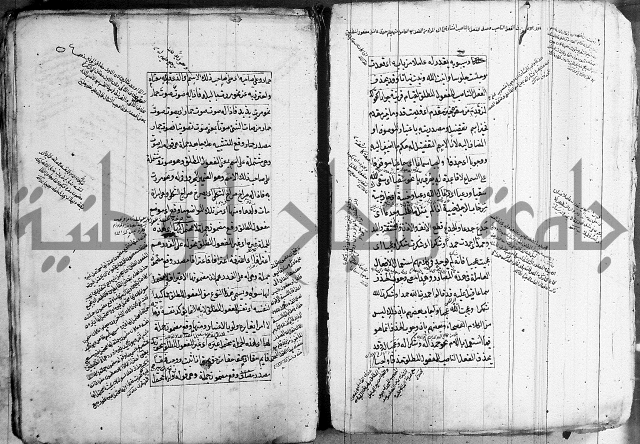 فوائد على الكافية 