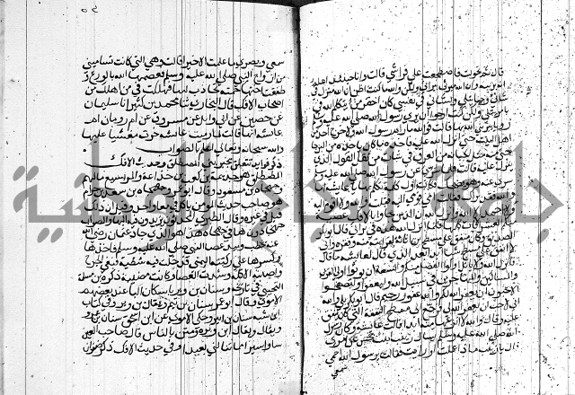 السيرة النبوية