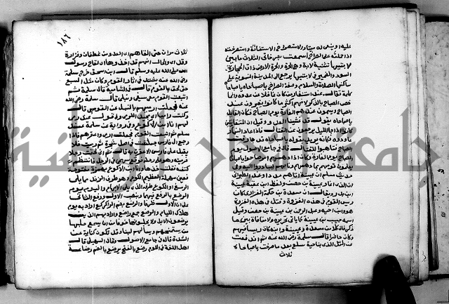 شرح ثلاثيات المسند ج 2 